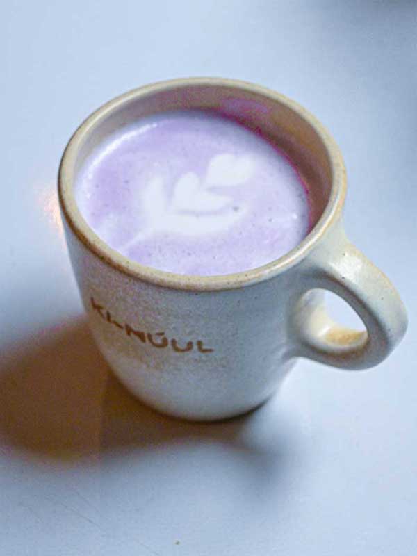 Bebidas-Lattes-Taro